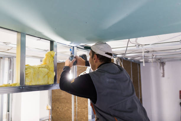 Best Eco-Friendly Insulation in Edgerton, KS