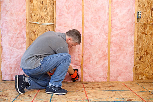 Best Specialized Insulation Services in Edgerton, KS