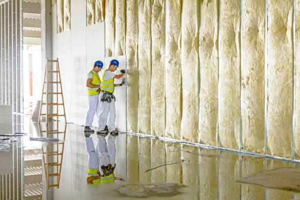 Best Geographic-Specific Insulation Services in Edgerton, KS